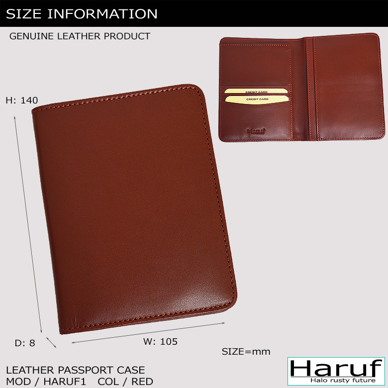 パスポートケース パスポートカバー 革 本革 レザー 手帳カバー b7